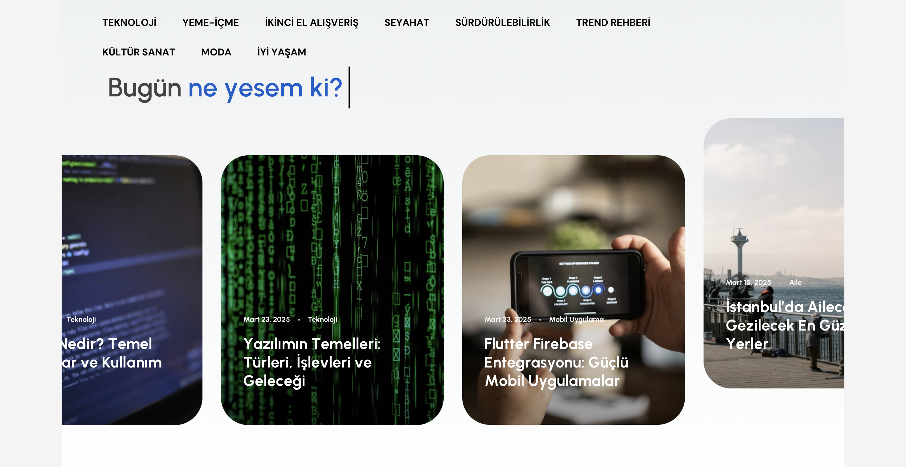 Yeniki Platformu Gelecek Vizyonu